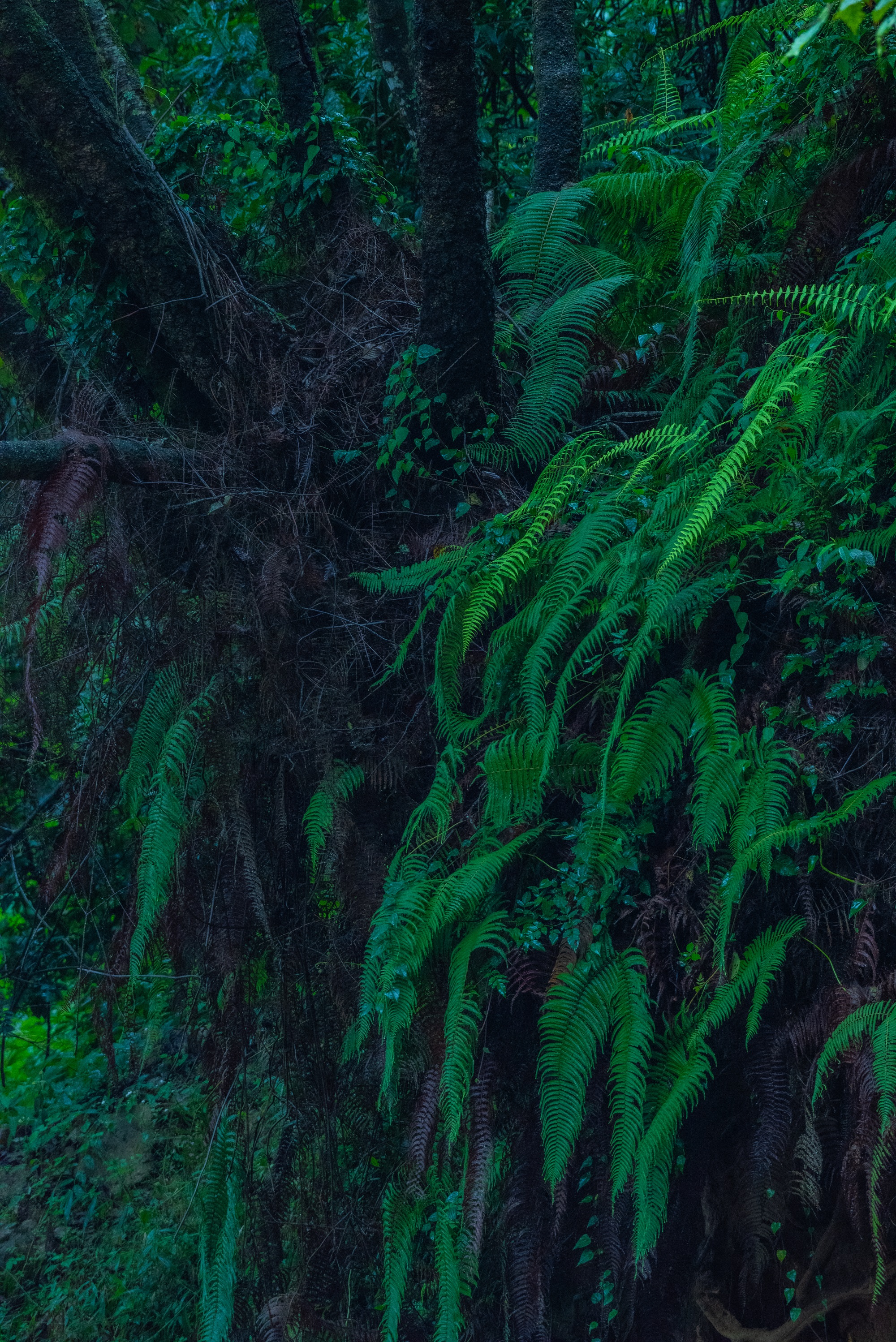 风景图片